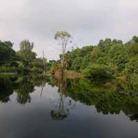 Weekend Exploration At Hampstead wetland 