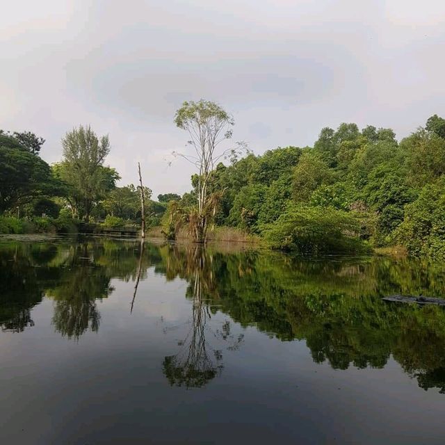 Weekend Exploration At Hampstead wetland 