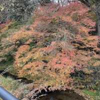 【兵庫県】秋の出石城跡を散策！