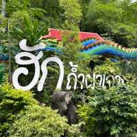 ถ้ำผาเจาะสถานที่ท่องเที่ยวใหม่ จ.หนองบัวลำภู