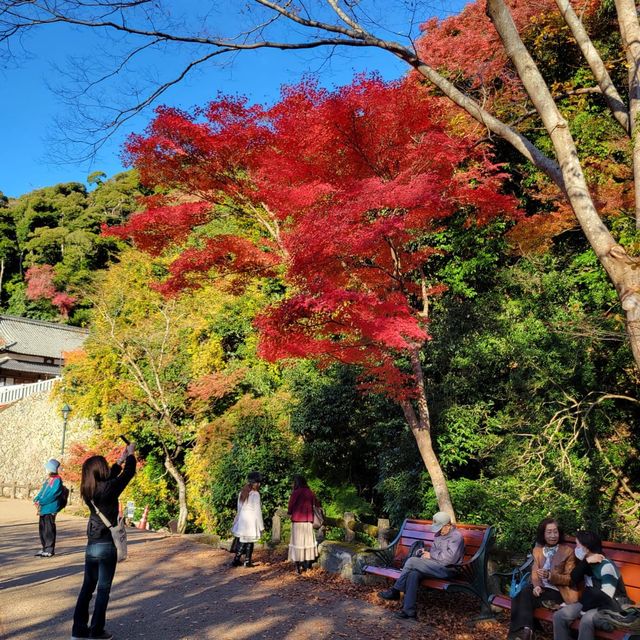 日本最古的修行地之一｜瀧安寺