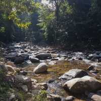 เขตรักษาพันธุ์สัตว์ป่าเขาสอยดาว 