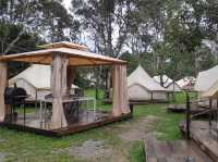 Canopy Villa Glamping Park Pahang 👣🍃