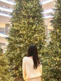부산 대형 트리존 구경하러 고고🎄