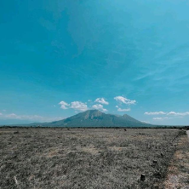 BALURAN NATIONAL PARK, BANYUWANGI