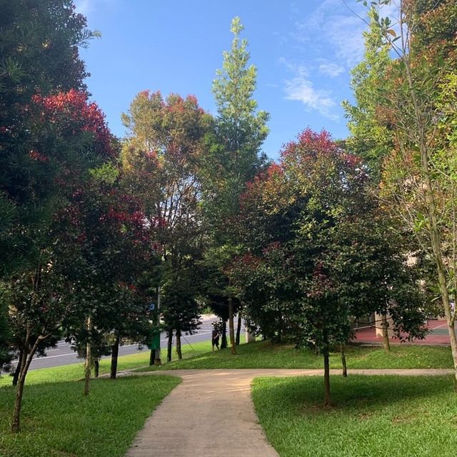 Bukit Batok Nature Park