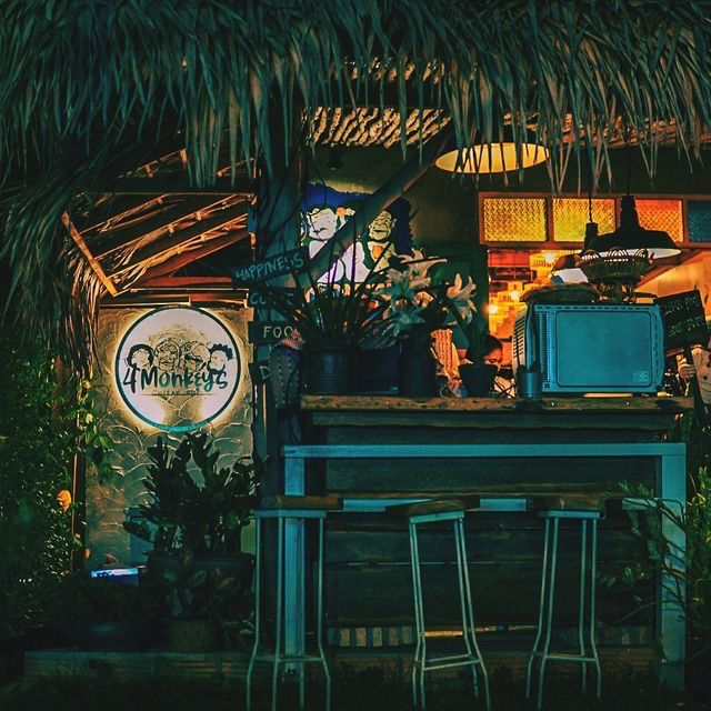4 monkeys บาร์สุดชีล ณ เกาะสมุย