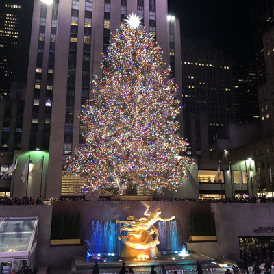 冬のニューヨークには欠かせない巨大ツリー Trip Com ニューヨークの旅のブログ 冬のニューヨークには欠かせない巨大ツリー Trip Com ニューヨークの旅のブログ