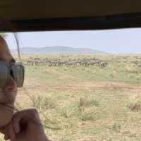 anotha safari at Serengeti