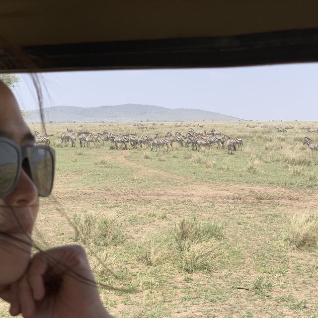 anotha safari at Serengeti