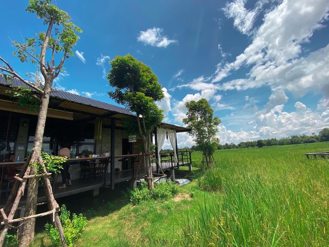 คาเฟ่ธรรมชาติ นอนนาคาเฟ่