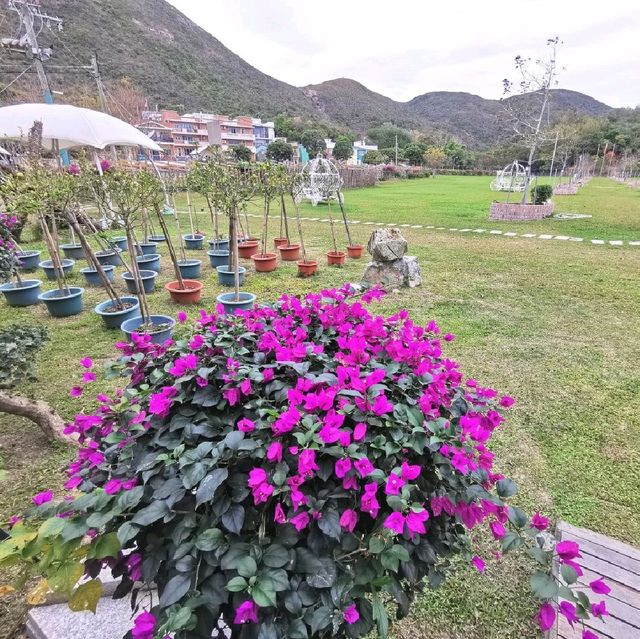 白腊村