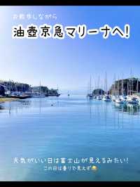 お得なきっぷ♪みさきまぐろきっぷでお出かけ🐟