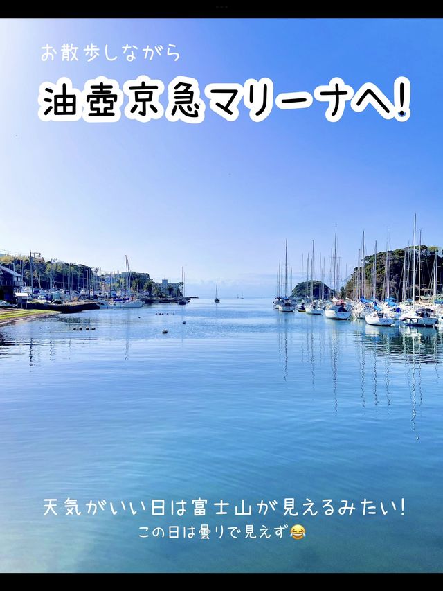 お得なきっぷ♪みさきまぐろきっぷでお出かけ🐟