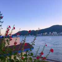 부산 가볼만한 곳 송정해수욕장 🏖