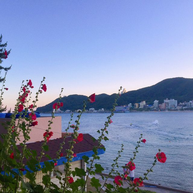 부산 가볼만한 곳 송정해수욕장 🏖