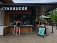 St. Louis Zoo (Starbucks)