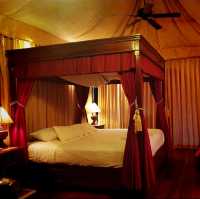 Deepest sleep at Elephants Village house