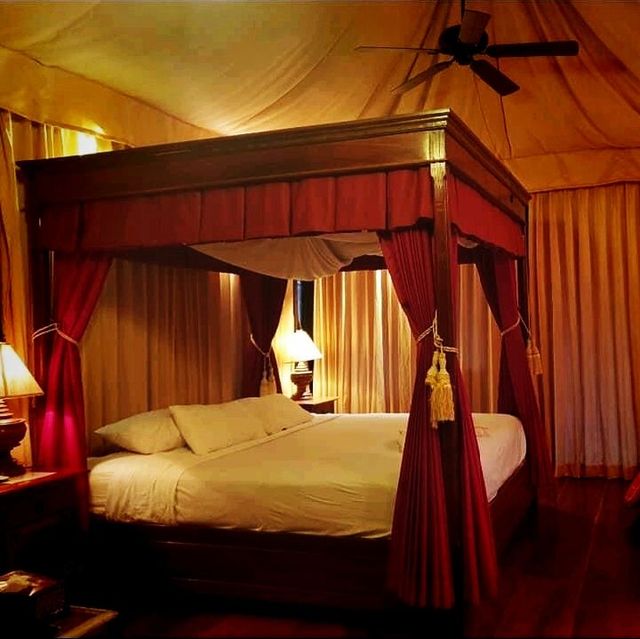 Deepest sleep at Elephants Village house