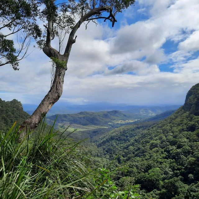 Lamington National Park Trip! 