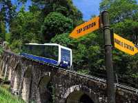 Train to Nature ❤️