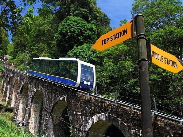 Train to Nature ❤️