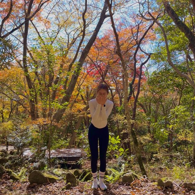 제주에서 즐기는 단풍놀이🍁