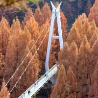 Daejeon Bridge