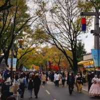 Colourful autumn of Jeonju