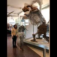 มาเที่ยว American Museum of Natural History ค่ะ