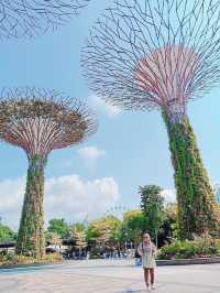 Supertree Grove 🌴มาสิงคโปร์ต้องไม่พลาด