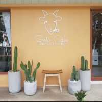 Seeto Café  