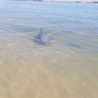 Bunbury Australia 