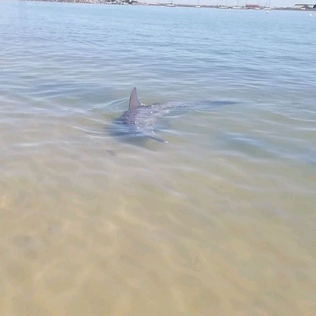 Bunbury Australia 