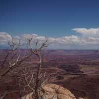 【アメリカ・モアブ】Mesa Arch 