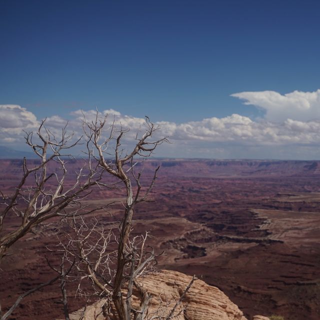 【アメリカ・モアブ】Mesa Arch 