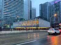 Toronto Public Library Fort York Version