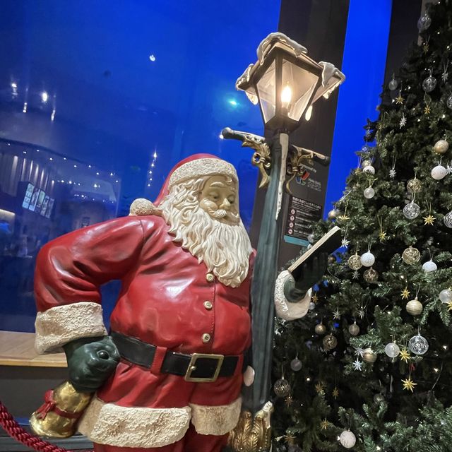 【福岡】ベイサイドプレイス博多のクリスマス