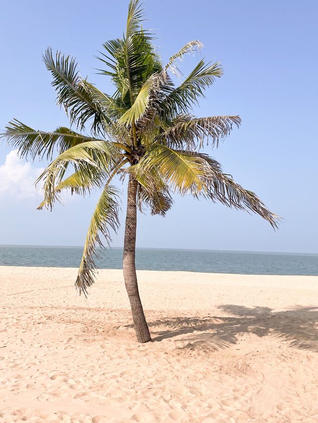 Haikou City beach with tropical vibes 🏝