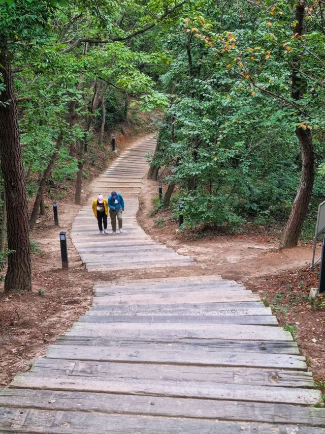 고하도전망대 둘레길! 해상데크와 150세힐링건강계단