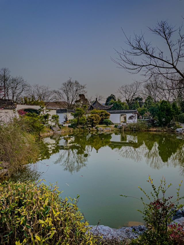Hangzhou’s Botanical Garden 🌸