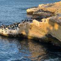 La Jolla is sunny, beautiful, unforgettable 