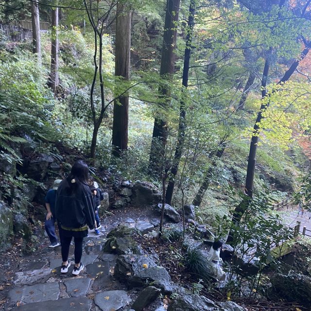 日本壯觀必訪的養老瀑布