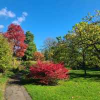 Beautiful Bath Park