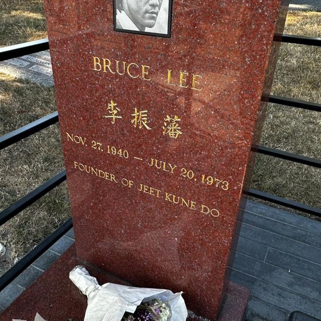 UNFORGETTABLE BRUCE LEE EXPERIENCE!
