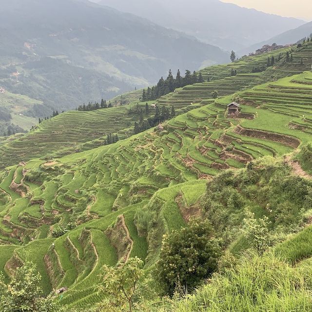 Jibang Terrace 