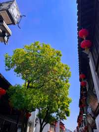 Summer Time in Suzhou🛶🌳🌱