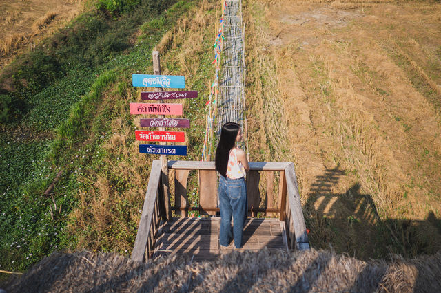 ความมีเสน่ห์ของทุ่งนาในมุมมองที่แตกต่าง