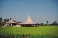 ชะตา ธรรมชาติ จ.นครปฐม