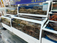 속초 동명항 맛집. 청정대게
